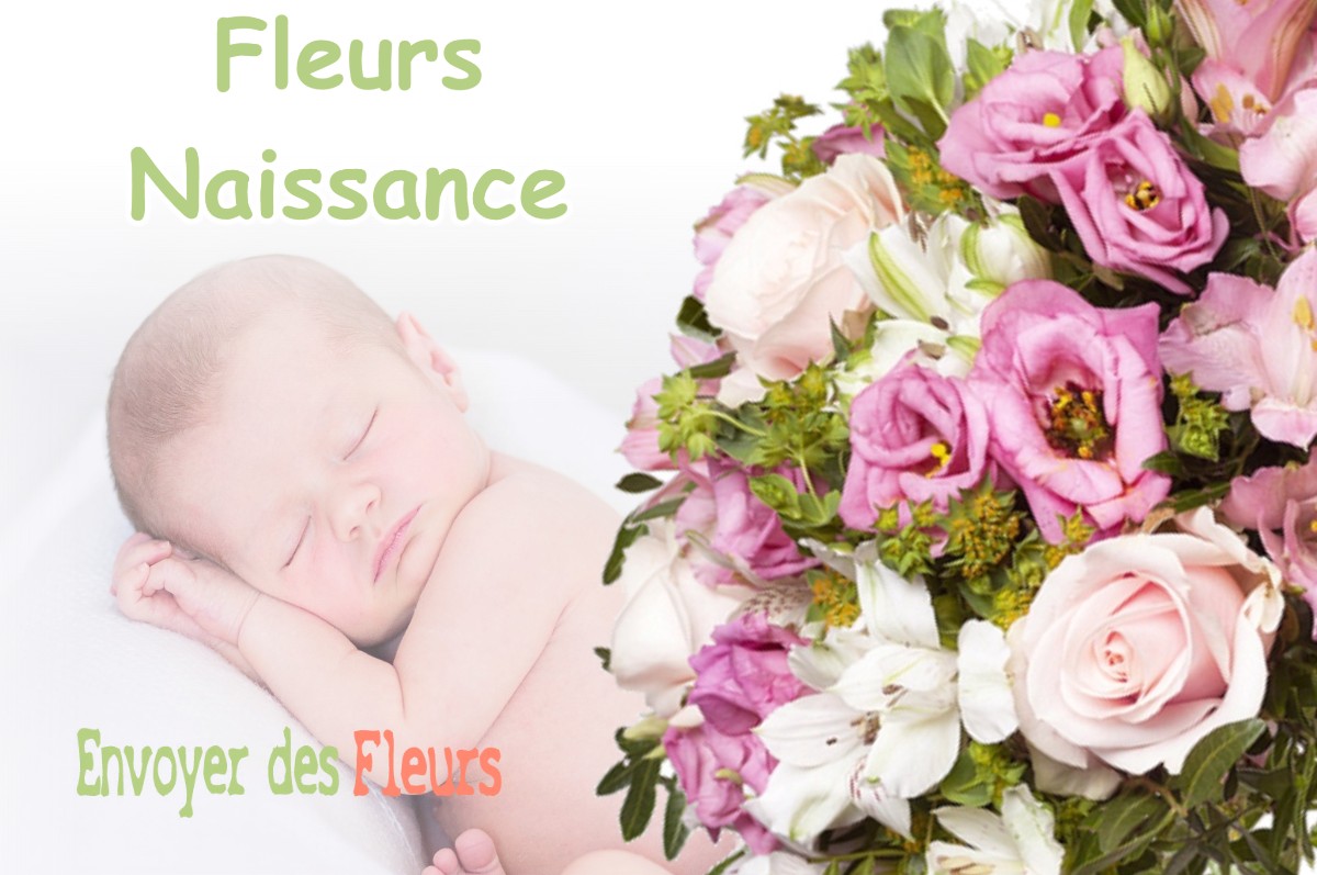 lIVRAISON FLEURS NAISSANCE à CESSE